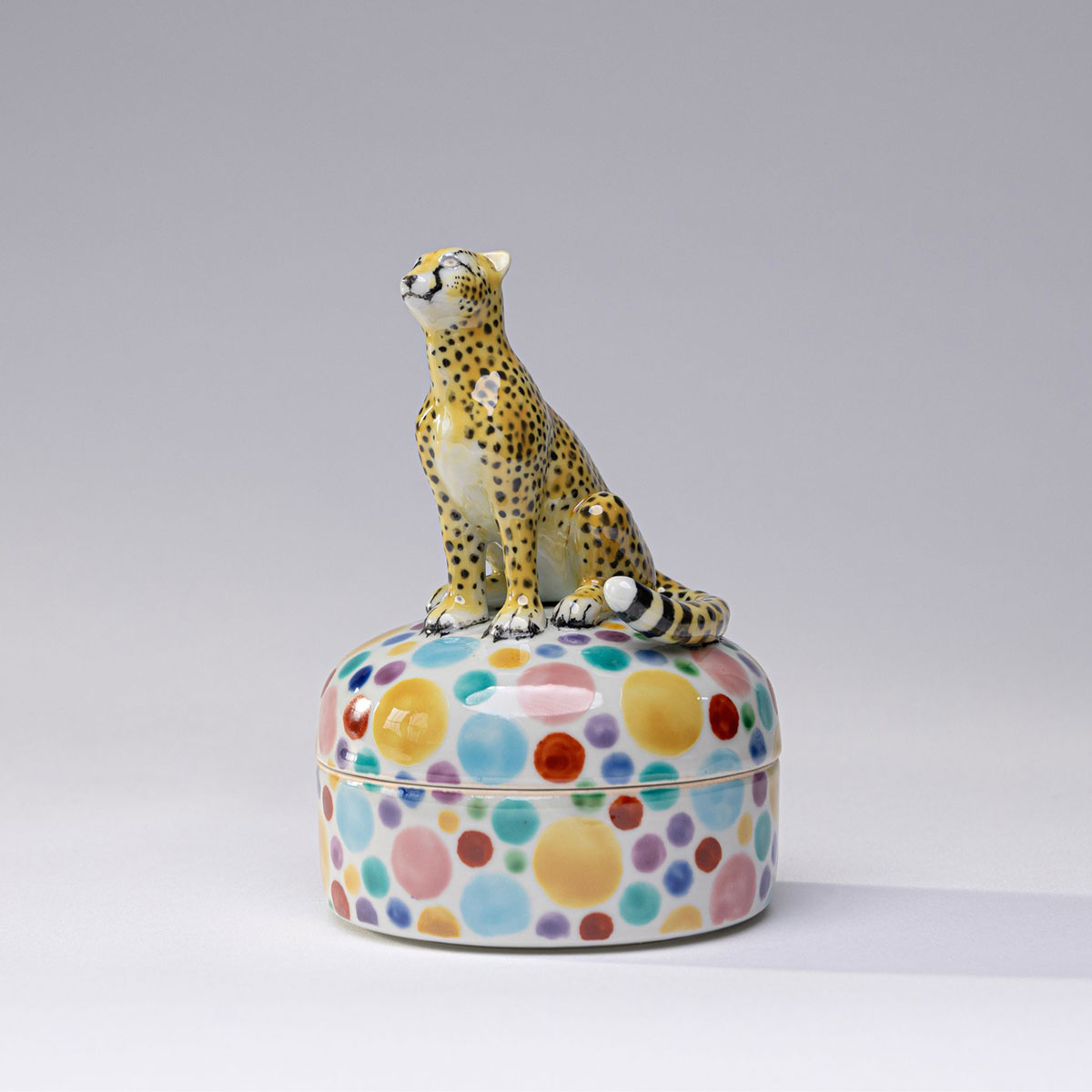 Cheetah