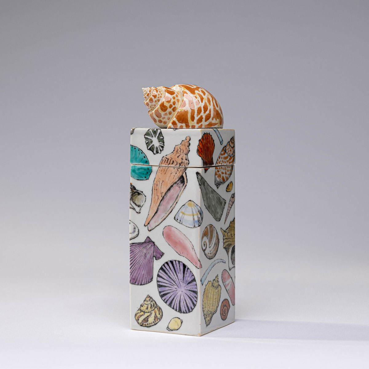 Shell Box