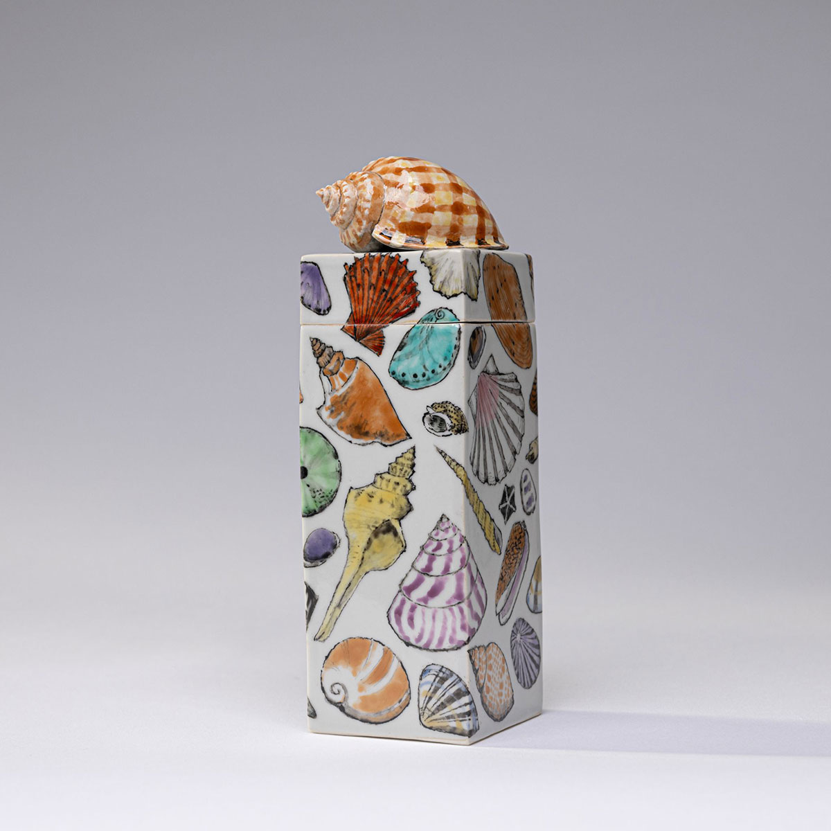 Shell Box