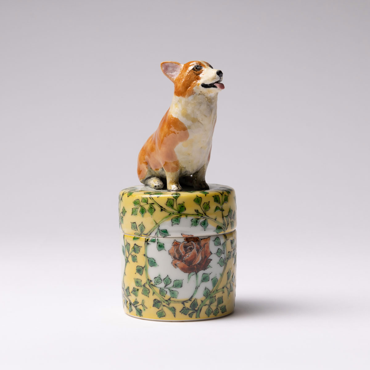 Welsh Corgi