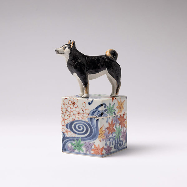 Shiba Inu Dog