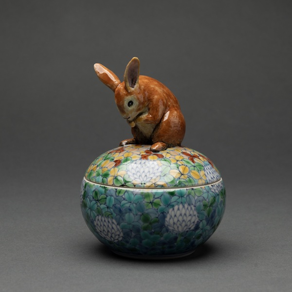 Rabbit