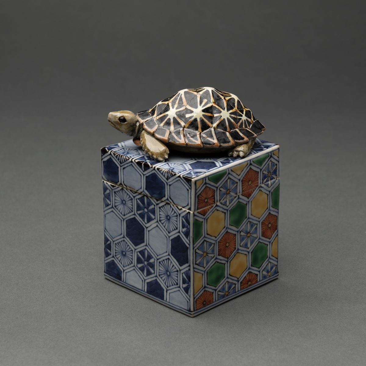 Tortoise