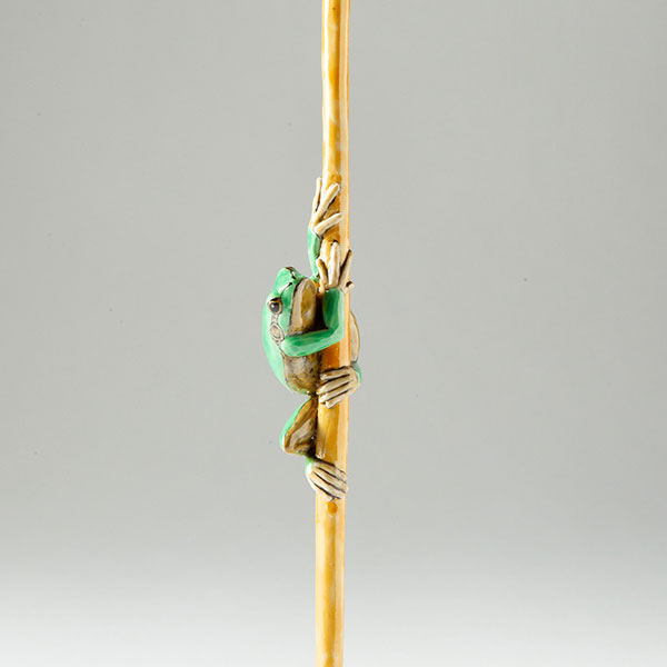 Climbing Frog