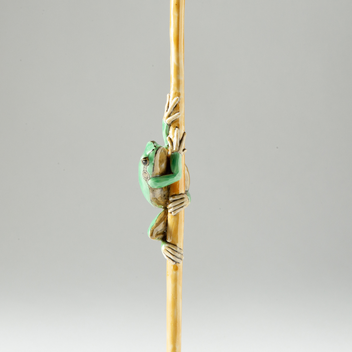 Climbing Frog