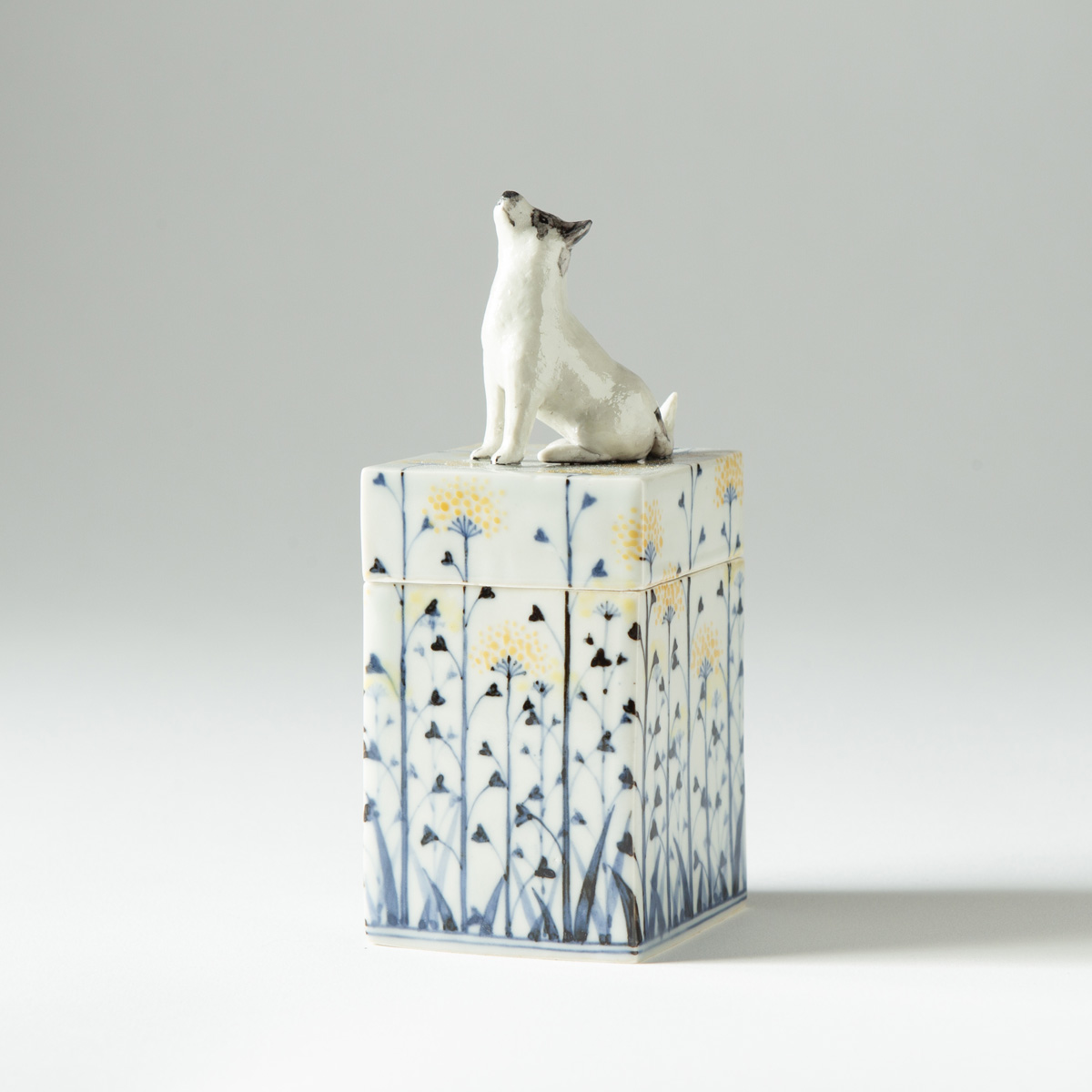 Dog the TARO box