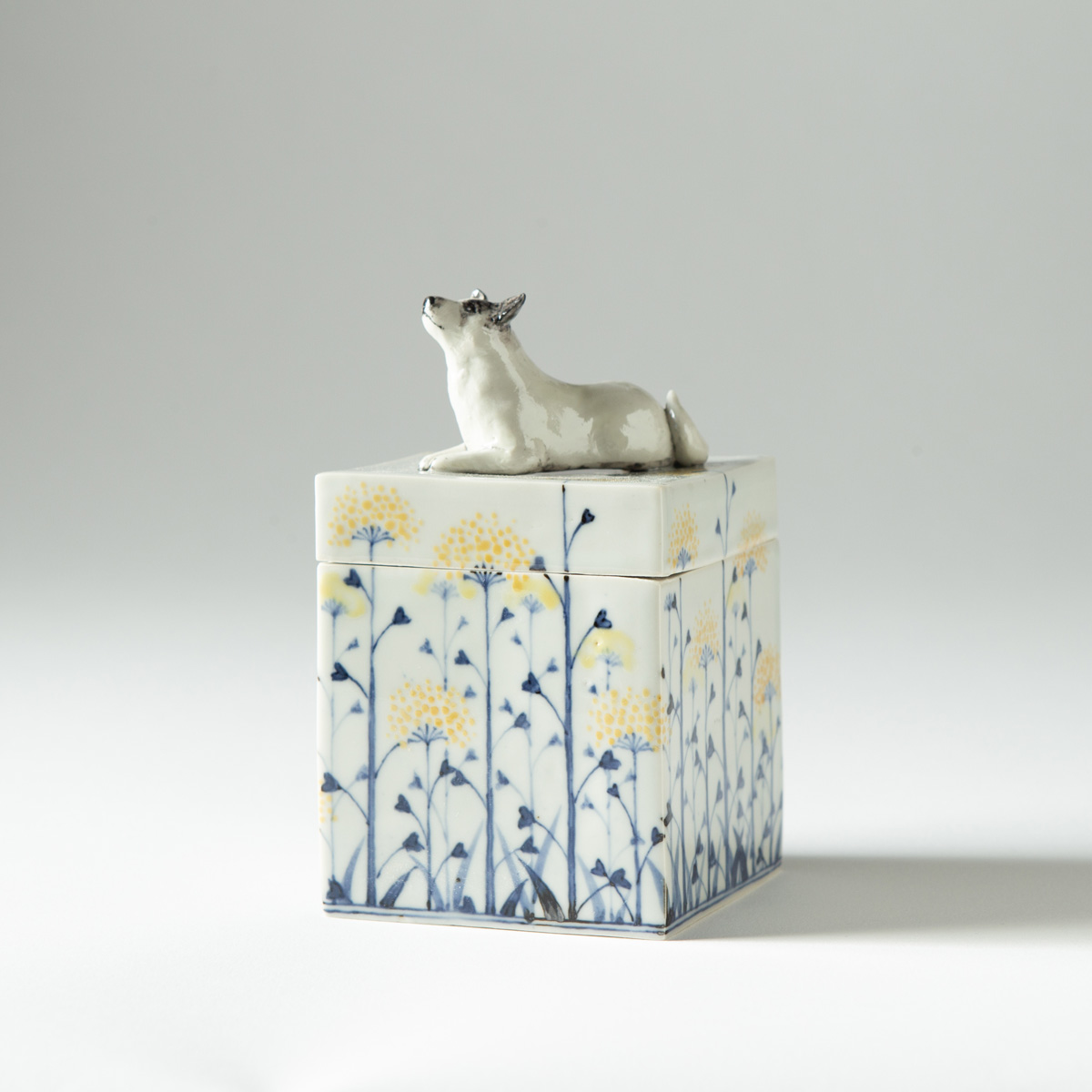 Dog the TARO box