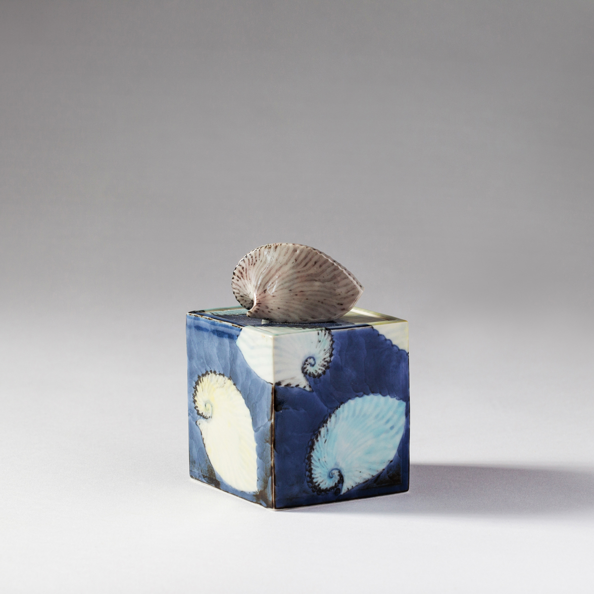 Argonaut box